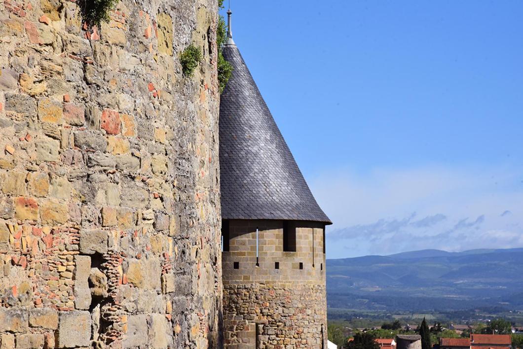 Apartment Confort ! Calme, Climatisation, Piscine, Parking Gratuit, Grande Terrasse, Netflix, Wifi Carcassonne